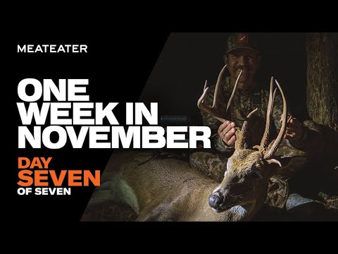 Day 7: The Last Day | S1E07 | One Week In November