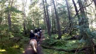 preview picture of video 'Horseback trail ride through Glacier National Park! August 14, 2013'