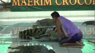 preview picture of video 'MaeRim crocodilefarm'