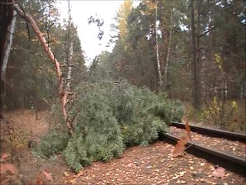 Łowcy Rp1 - gałązka