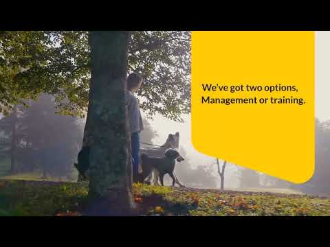 Stop rolling in poop! (Pro advice for pro walkers)