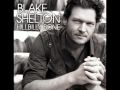 Blake Shelton, Can't Afford to Love You