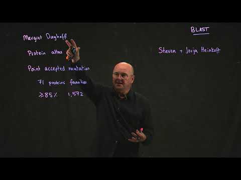 BLAST 4 PAM vs BLOSUM