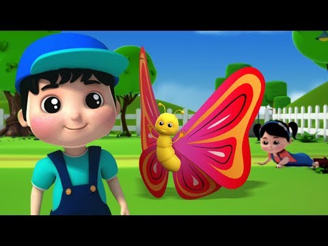 download lagu mp3 mp4 Lagu Anak Kupu Kupu Butterfly, download lagu Lagu Anak Kupu Kupu Butterfly gratis, unduh video klip Lagu Anak Kupu Kupu Butterfly