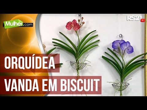 Mulher.com - 16/09/2016 - Orquídea vanda em biscuit - Alessandra Assi P1