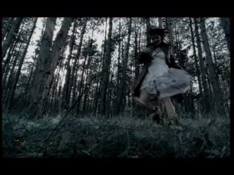 Gušti in Polona - D Dan