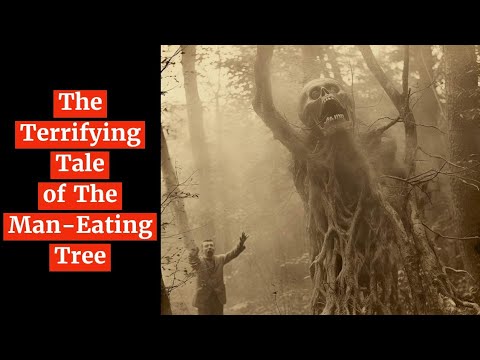 Unveiling the Enigmatic Legend: The Terrifying Tale of The Man-Eating Tree