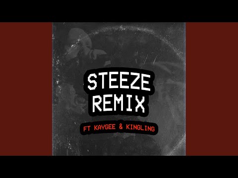 Steeze (Remix)
