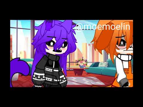 😥catNAY bogDAY 💔