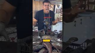 Download lagu DARI ISENG JADI JUTAAN‼️😱Rahasia Sukses Jual Ikan Sapu-Sapu & Masakan🐊#ikansapusapu #kuliner#makanan mp3
