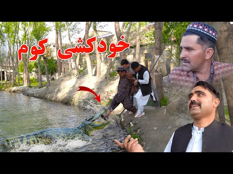 Khud kashi kom || Swat kpk vines funny Pashto video 2025