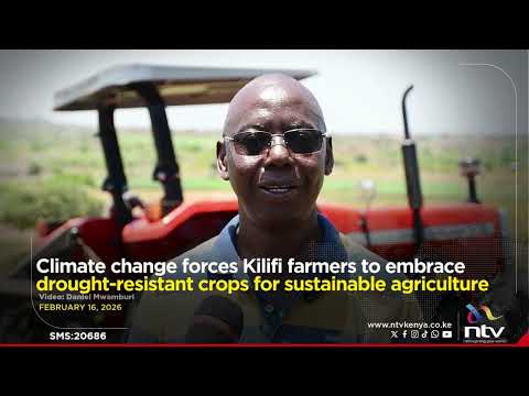 Climate change forces Kilifi farmers to embrace drought-resistant crops for sustainable agriculture
