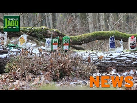 Illegaler Schießstand, gerissenes Damkalb, Angst vor ASP u.w. – DJZ-News 8/2018