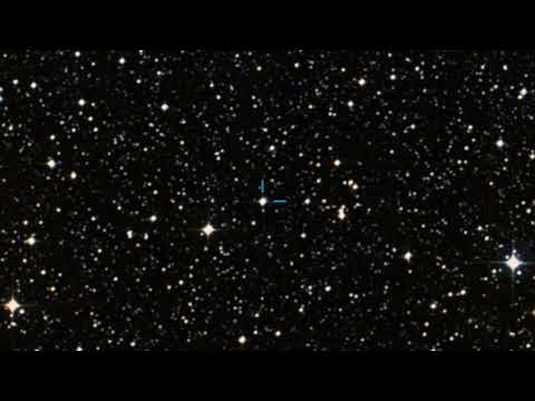 Toma Dimitriu - Saint Quay