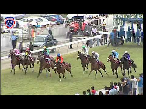 RM36 R8 | Bells Apostle | K.Mudhoo