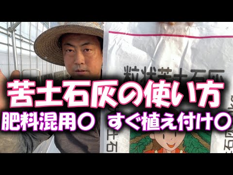 なぜ庭に灰を置くのですか？いつ、どこで、どのようにして?これらの 5 つの使い方はあなたを驚かせます!  庭園