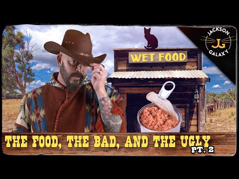 Cat Nutrition: The Food, The Bad & The Ugly: Part 2: Wet Food!