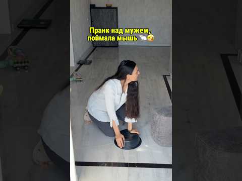 Пранк мышь🤣🤣🤣 до конца