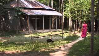 একটি বাড়ি একটি খামার প্র্রকল্পের নাটক - ১