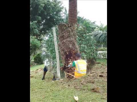 download lagu mp3 mp4 Ags Nettoyage, download lagu Ags Nettoyage gratis, unduh video klip Ags Nettoyage
