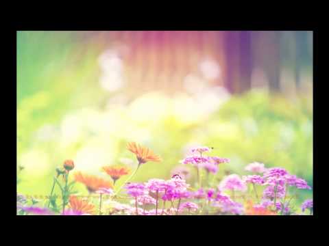 Flo Rida - Club Can't Handle Me ft. David Guetta [Official Music Video] - Step Up 3D