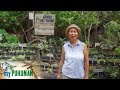 My Puhunan: Vicky Sandidge  of Bohol Bee Farm