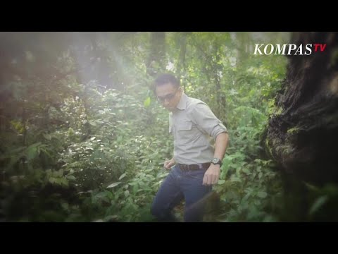 download lagu mp3 mp4 Film Indonesia Bukan Negara Islam, download lagu Film Indonesia Bukan Negara Islam gratis, unduh video klip Film Indonesia Bukan Negara Islam