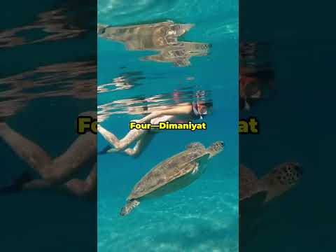 Top 10 Summer Spots in Oman You Can’t Miss! 🇴🇲☀️