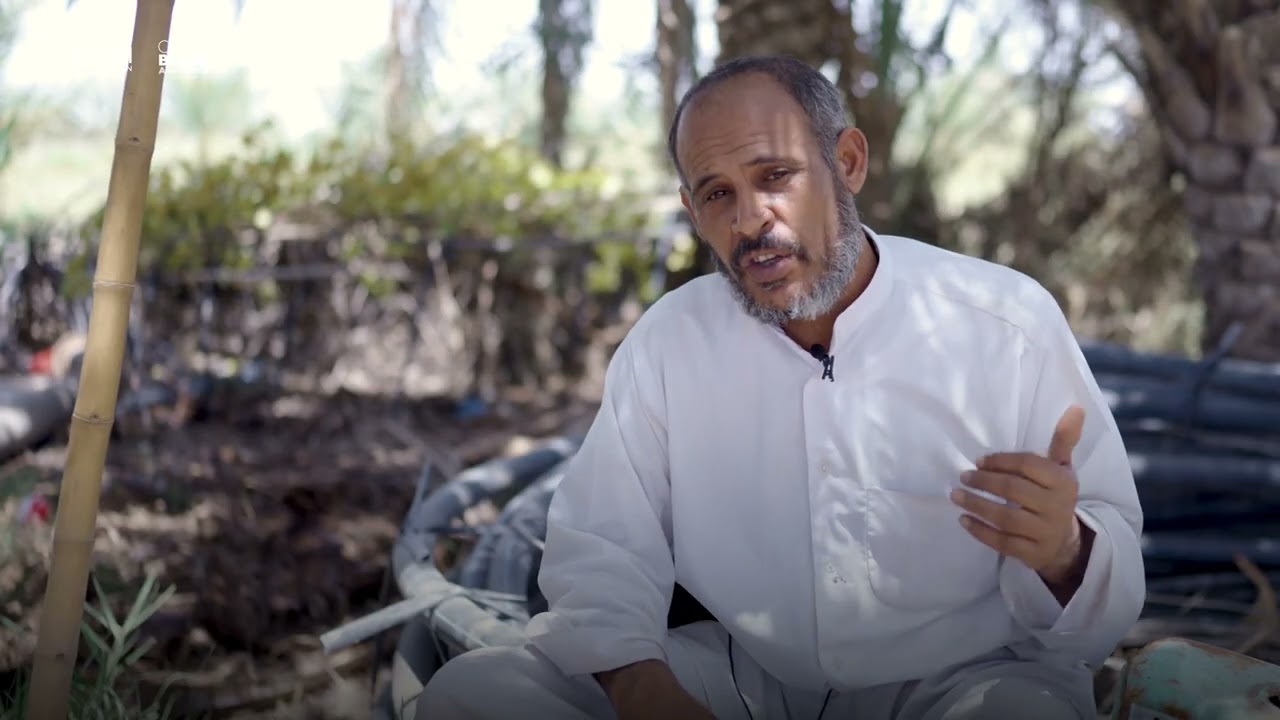 In southern Iraq, farmers are turning waste into opportunity.
