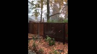 And the rains came...