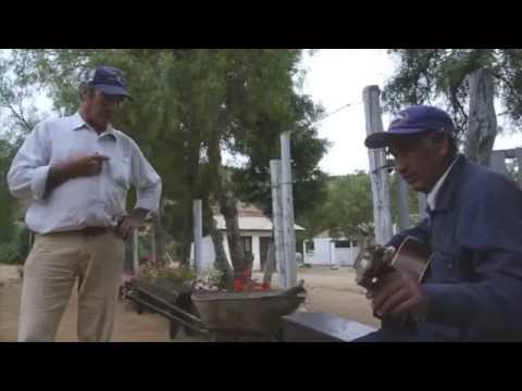 Los Maquis -  Alojadas de la Virgen de Palo Colorado