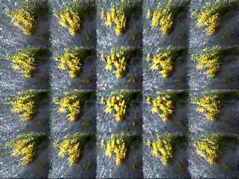 Emericvs - EmericvS: Flowers of Solitude