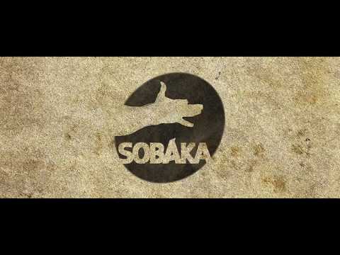 9 monkey of Shaolin PS4 Winter 2019I Gameplay Trailer 2019