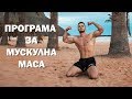 НОВАТА МИ ПРОГРАМА ЗА МУСКУЛНА МАСА