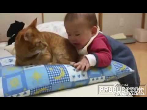 {Ya3 xo klke pshelakae xward} hhhh bas mnalaka zoor jwana