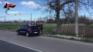 rapinatori-seriali-di-prostitute