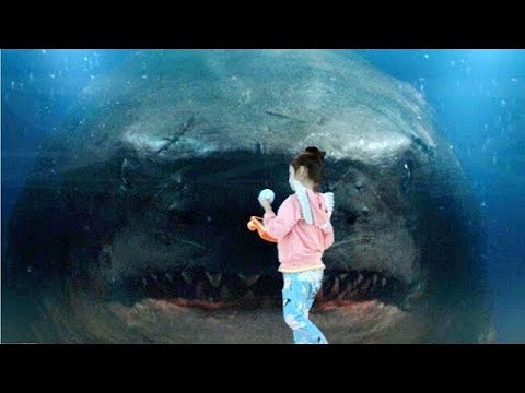 The Terrifying Moment A Megalodon Attacks The Glass In The Meg 2018 Movie Clip HD