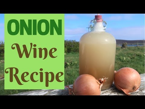 download lagu mp3 mp4 Wine And Onion, download lagu Wine And Onion gratis, unduh video klip Wine And Onion