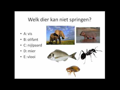 De Super Moeilijke Vragen Quiz - Made by Toadplayer! (QUIZ)