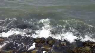 Brett Fuentes - Taking The World