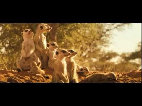 LA FAMILLE SURICATE - Bande Annonce VF