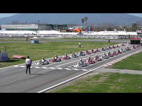 Start Prefinal A KZ2 WSK Super Master Series Round 4 Sarno 2019