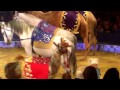 Big Apple Circus Nov 2014 016