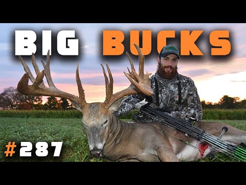 How to Build a Property That PRODUCES Mature Bucks (Guaranteed) with Thomas Mlsna | HUNTR #287