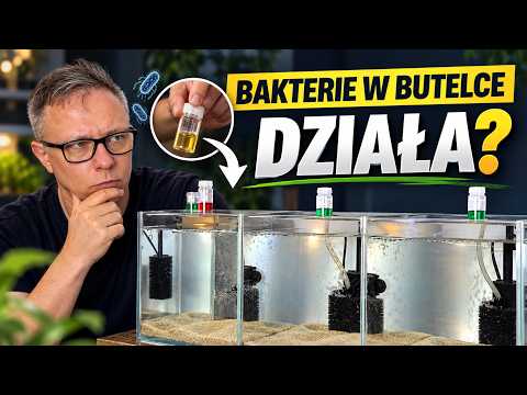 Film Czy bakterie w butelce naprawdę działają?