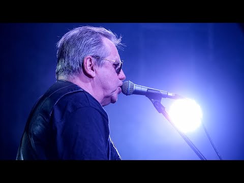 Poliarizuoti stiklai - Medžiai be lapų (LIVE @Kitokie pasikalbėjimai)