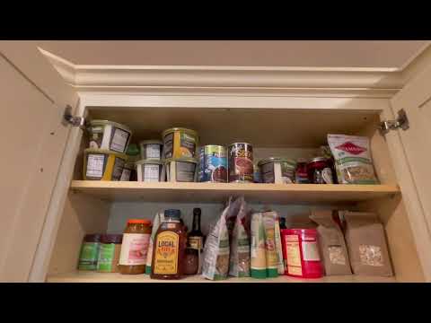 Kitchen Full of Indian Meal Moths in Montgomery, NJ