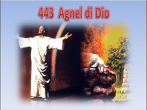 443 AGNEL DI DIO - KARAOKE