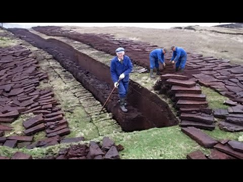 How Peat Was Made Into Fuel: From Bog to Winter Fuel | Traditional Peat Cutting on the High Fens