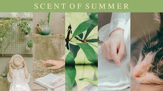 Download lagu Scent of Summer - Beautiful Piano & Ambience, Summer Themed BGM ｜BigRicePiano mp3